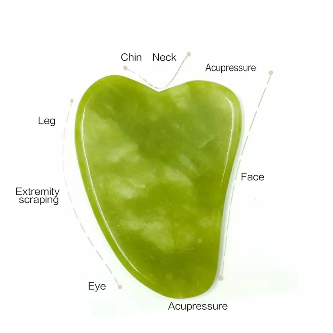 Green gua sha tool with labeled uses on a white background