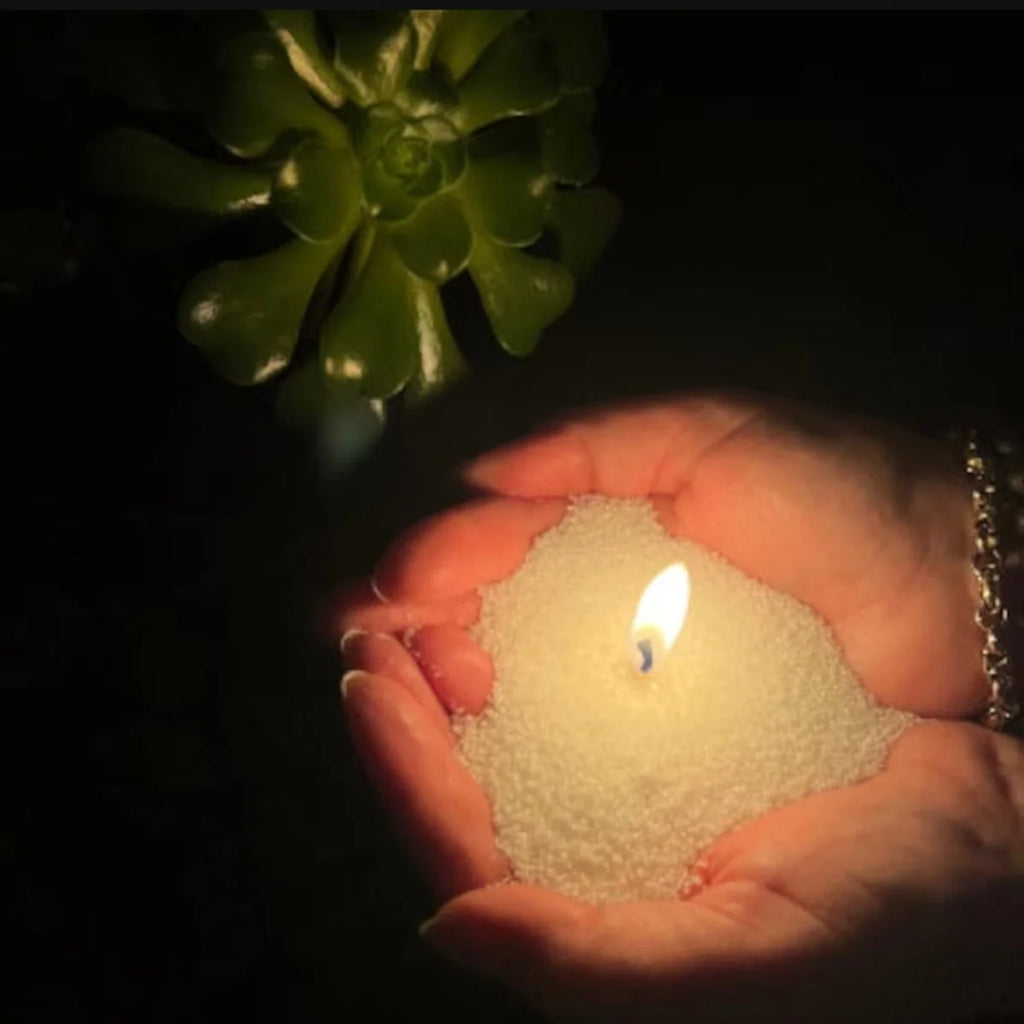 Hands holding a small candle with a succulent plant in the background