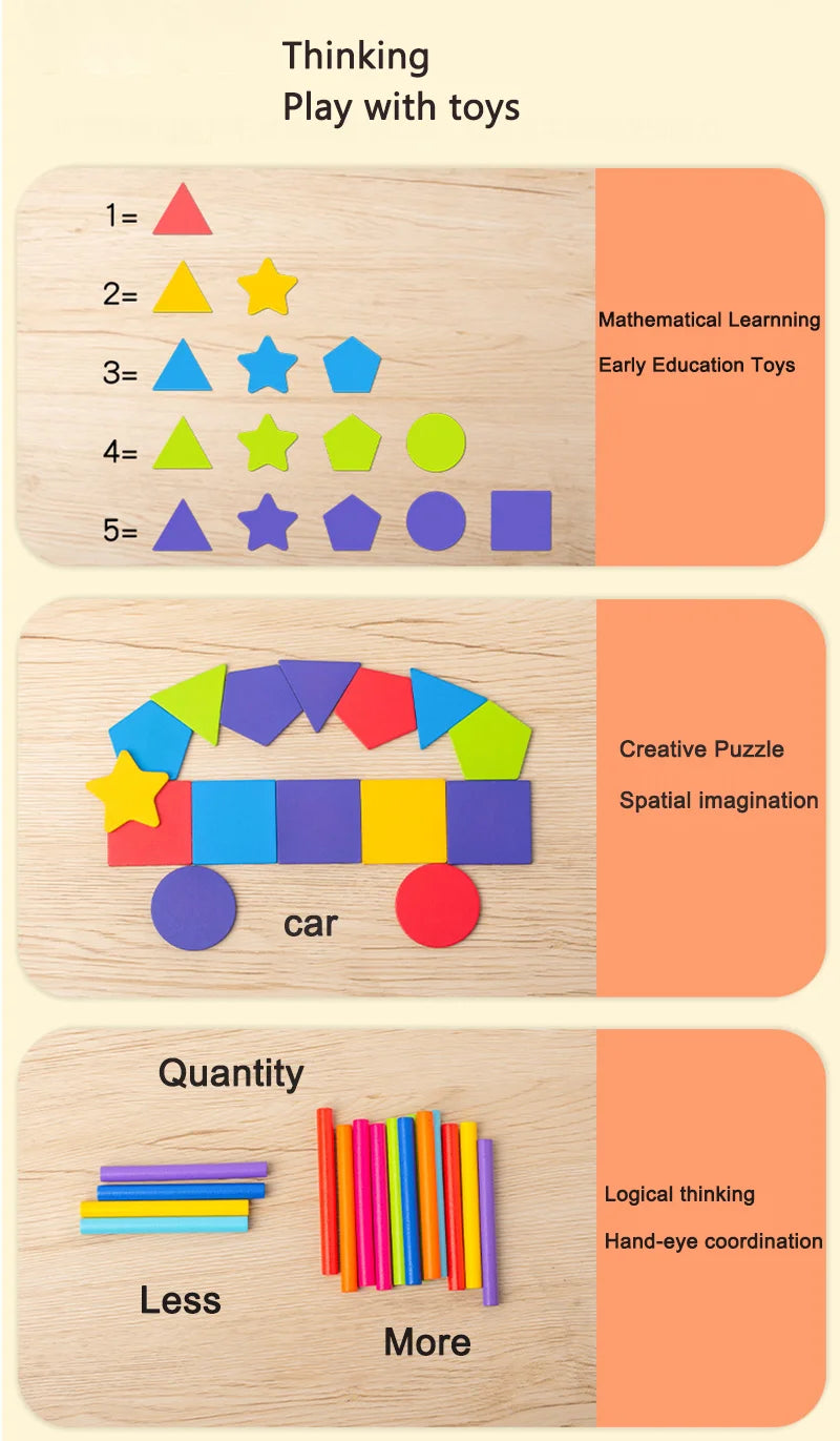 Montessori Wooden Color Sorting Toy