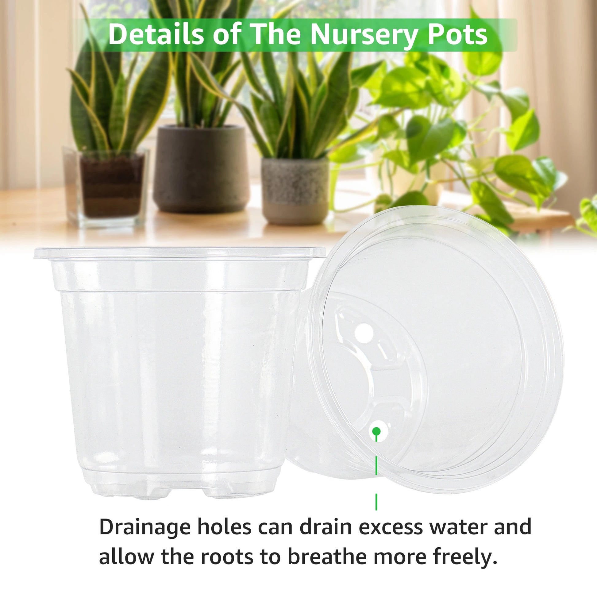 Transparent Plastic Planter with Drainage Holes