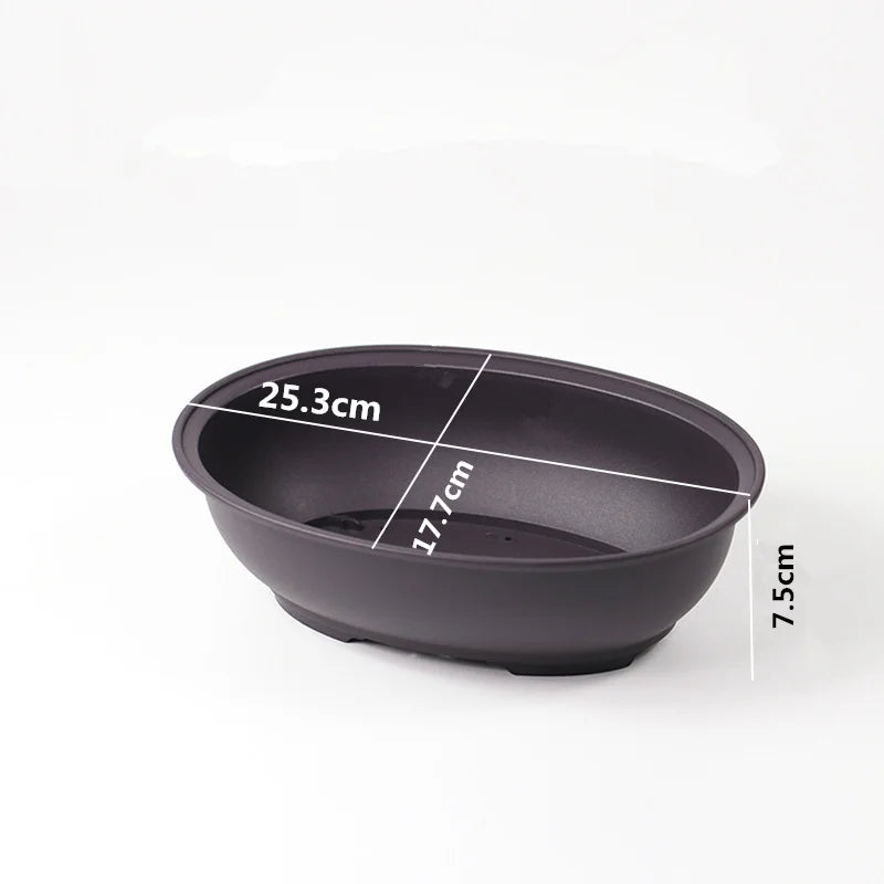 Bonsai Pot Trays Planter