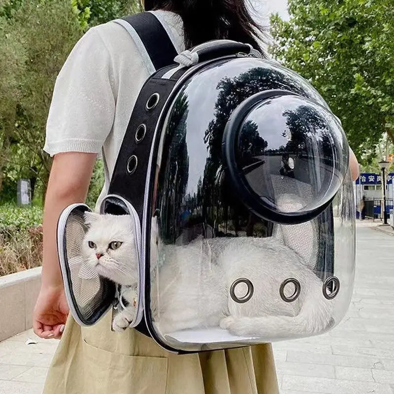 Person carrying a transparent pet backpack with a cat peeking out, outdoors.