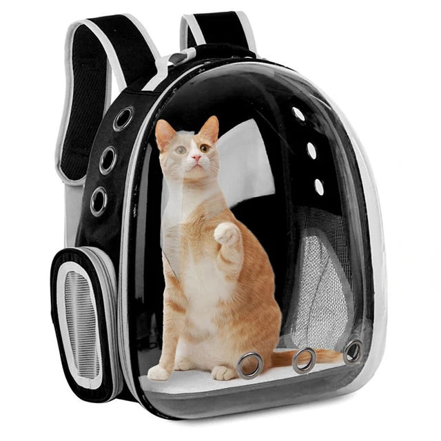 Cat backpack carrier with a cat inside on a white background