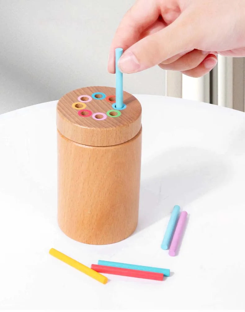 Montessori Wooden Color Sorting Toy