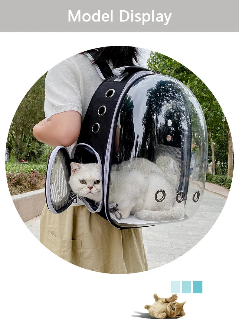 Person holding a transparent pet carrier with a cat inside, outdoors.