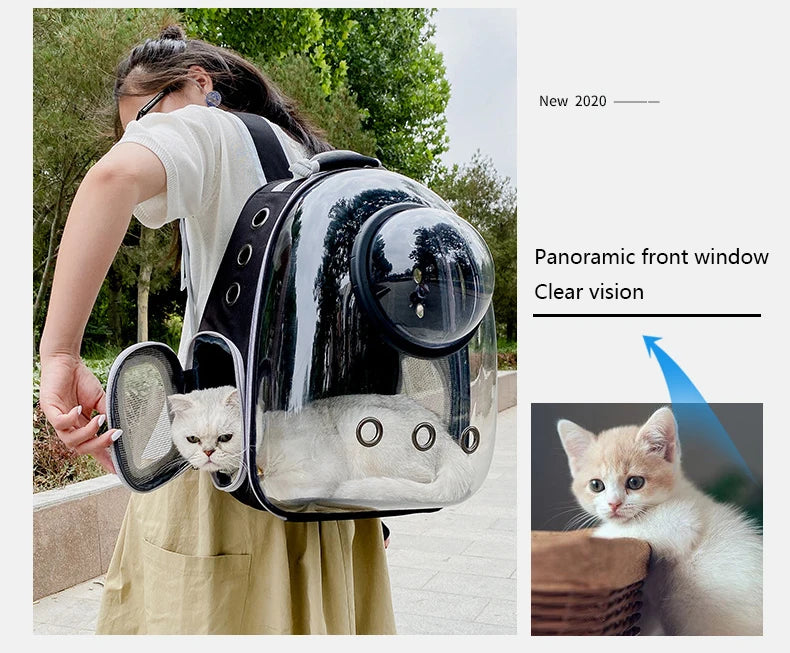 Person holding a transparent pet carrier with a cat inside, outdoors.