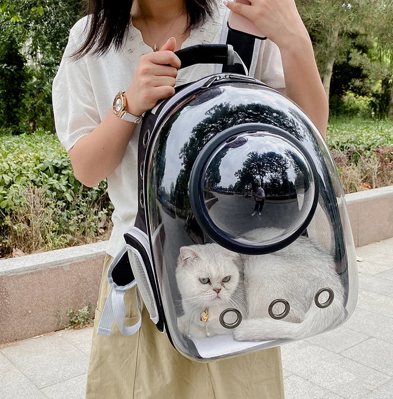 Person holding a transparent pet backpack with a cat inside, outdoors.