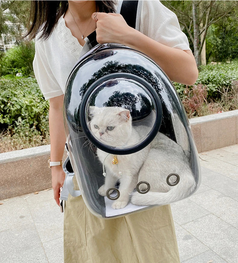 Person carrying a transparent backpack with a cat inside, outdoors.
