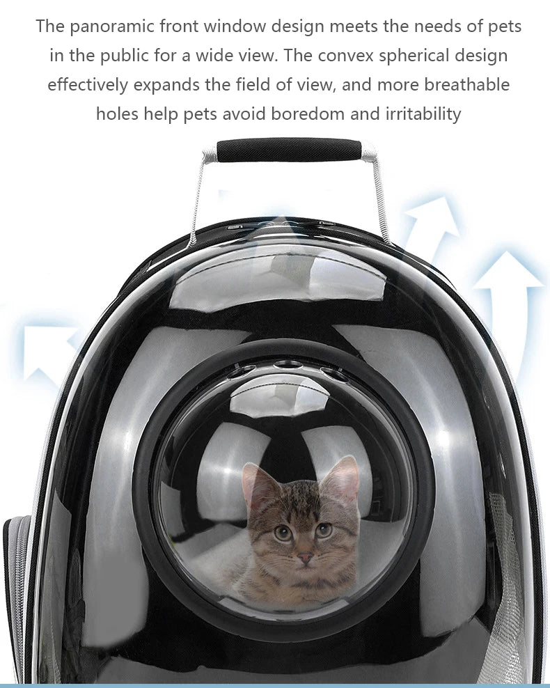 Pet carrier with a cat inside, featuring a panoramic front window design.