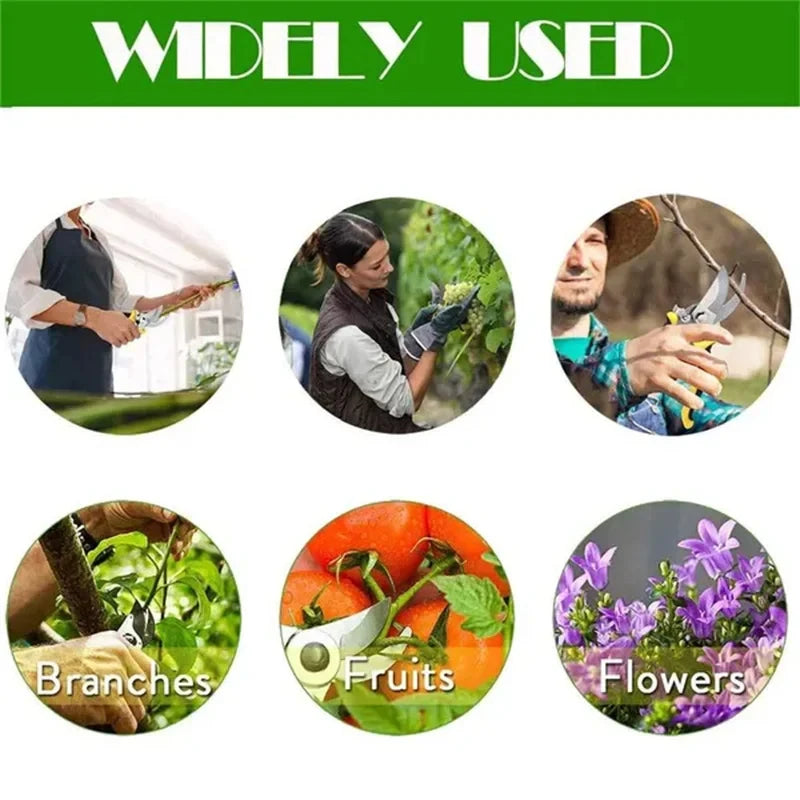 Horticultural Scissors Branch Pruning Scissor