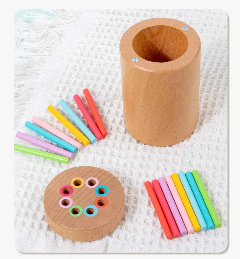 Montessori Wooden Color Sorting Toy