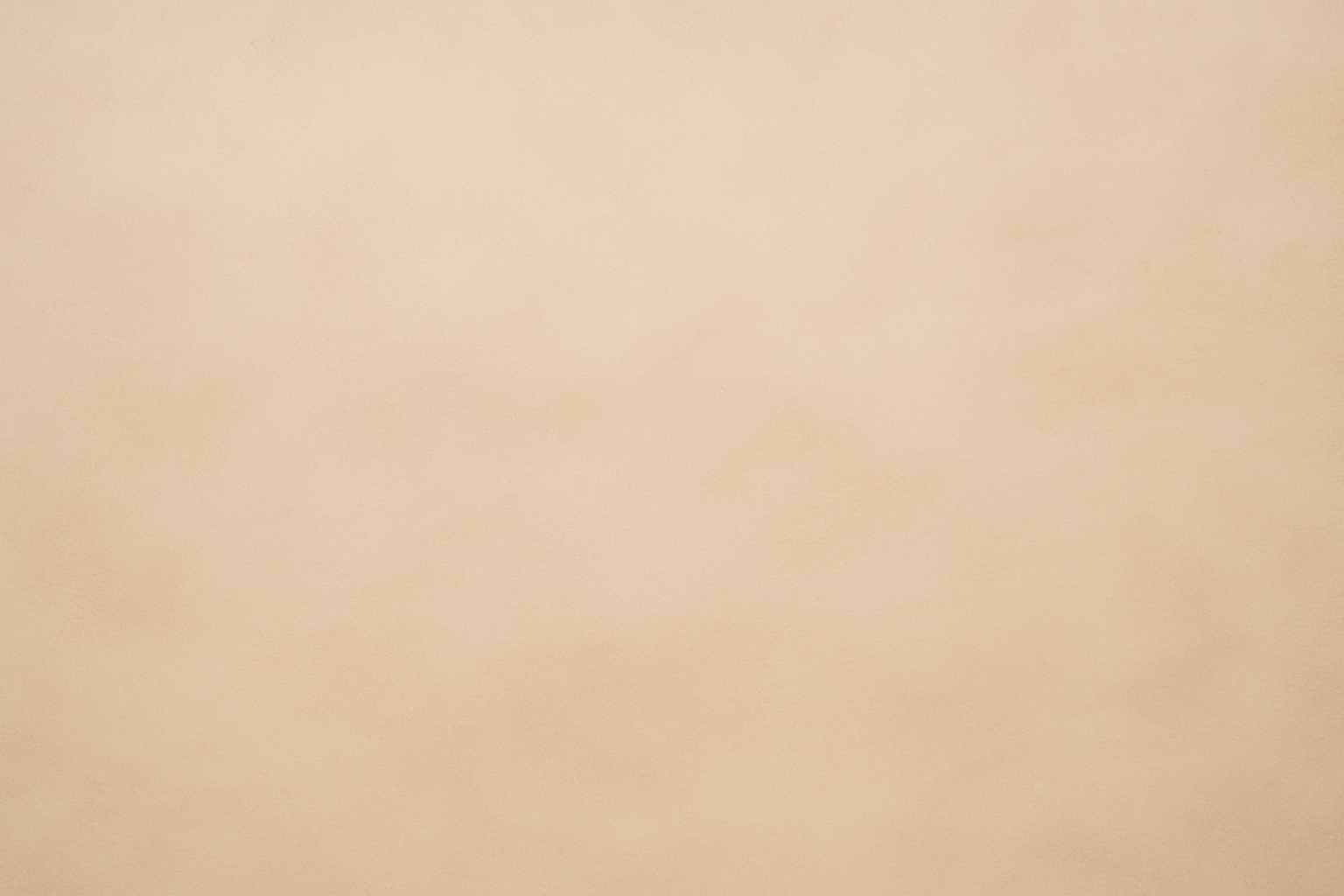 a minimalist style beige background